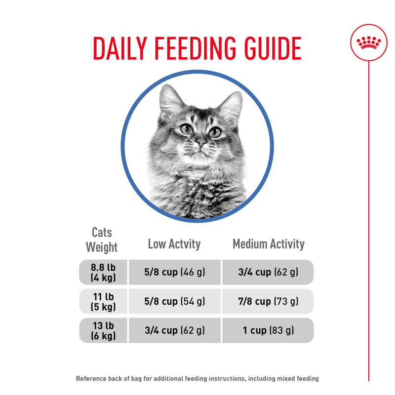 Royal Canin, Feline Care Nutrition Weight Care Adult Dry Food - Dry Cat Food image number null