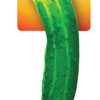 SmarterPaw, Get Kickin' Big Juicy Dill Pickle image number null