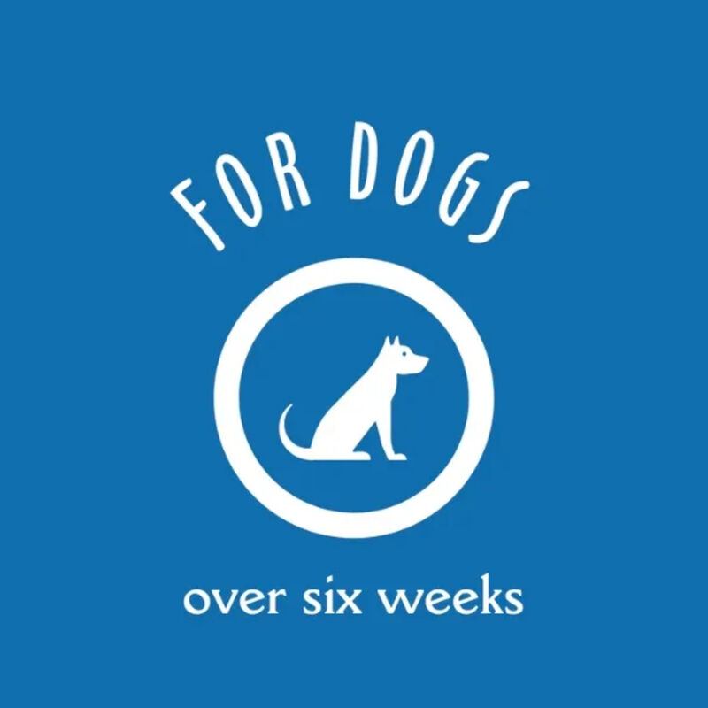 Earthbath, 3 in 1 Deodorizing Spritz Vanilla & Almond image number null