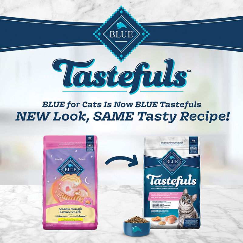 Blue Buffalo Tastefuls Sensitive Stomach Natural Adult Dry Cat Food, Chicken & Brown Rice image number null