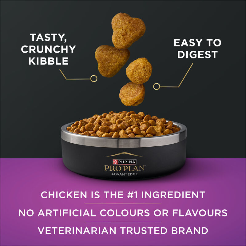 Pro Plan, AdvantEDGE - Senior Support Chicken & Rice - Dry Cat Food image number null
