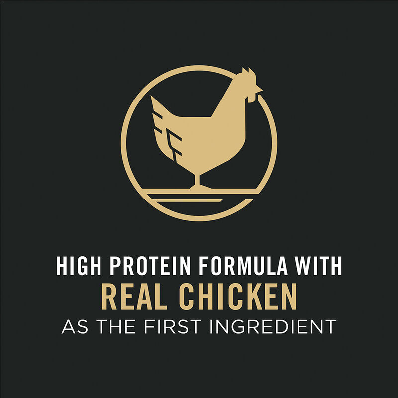 Purina Pro Plan Complete Essentials Adult, Shredded Blend, Chicken & Rice Dry Dog Food 2.72kg image number null