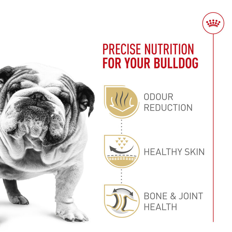 Royal Canin, Breed Health Nutrition Bulldog Adult - Dry Dog Food image number null
