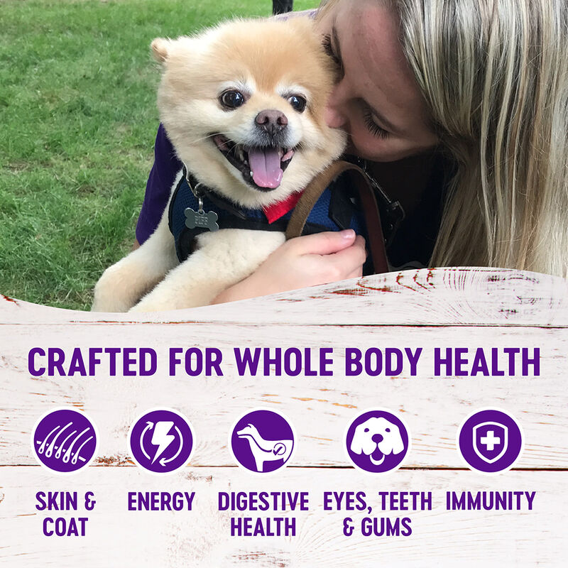 Wellness, Dog Toy Breed Adult - Dry Dog Food image number null