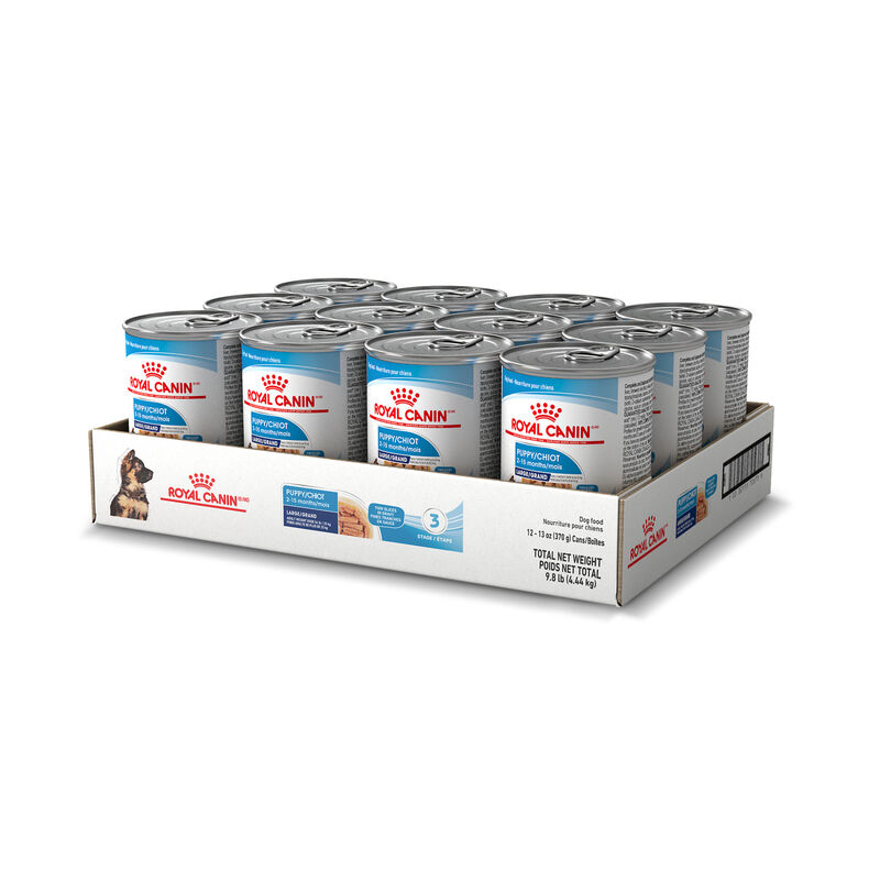 Royal Canin, Size Health Nutrition Large Puppy Chunks in Gravy 12/13oz - Wet Dog Food image number null