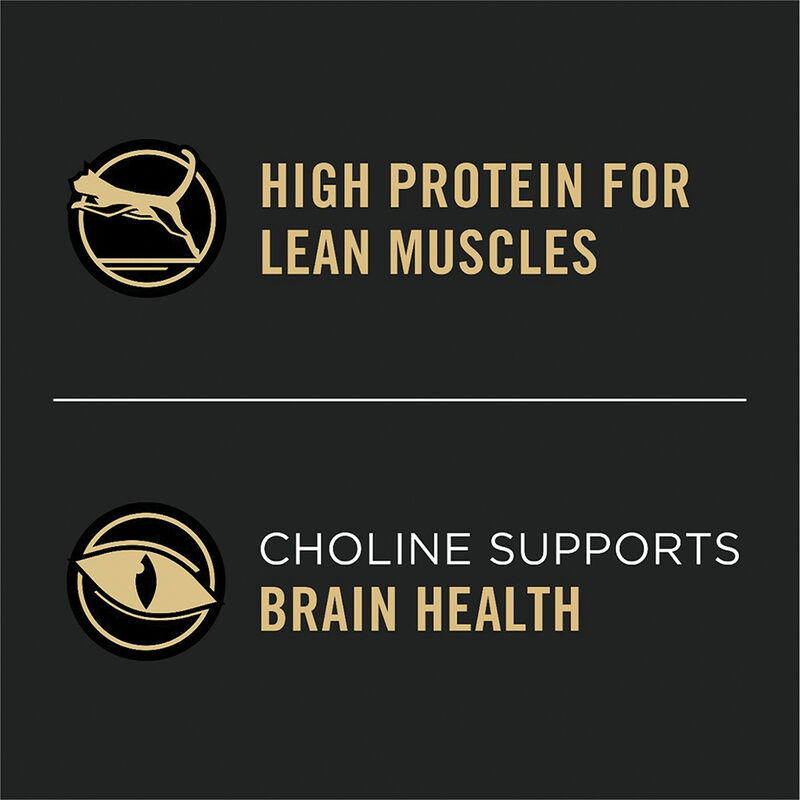 Pro Plan, Feline Adult - Vital Systems - Chicken & Egg - Dry Cat Food image number null