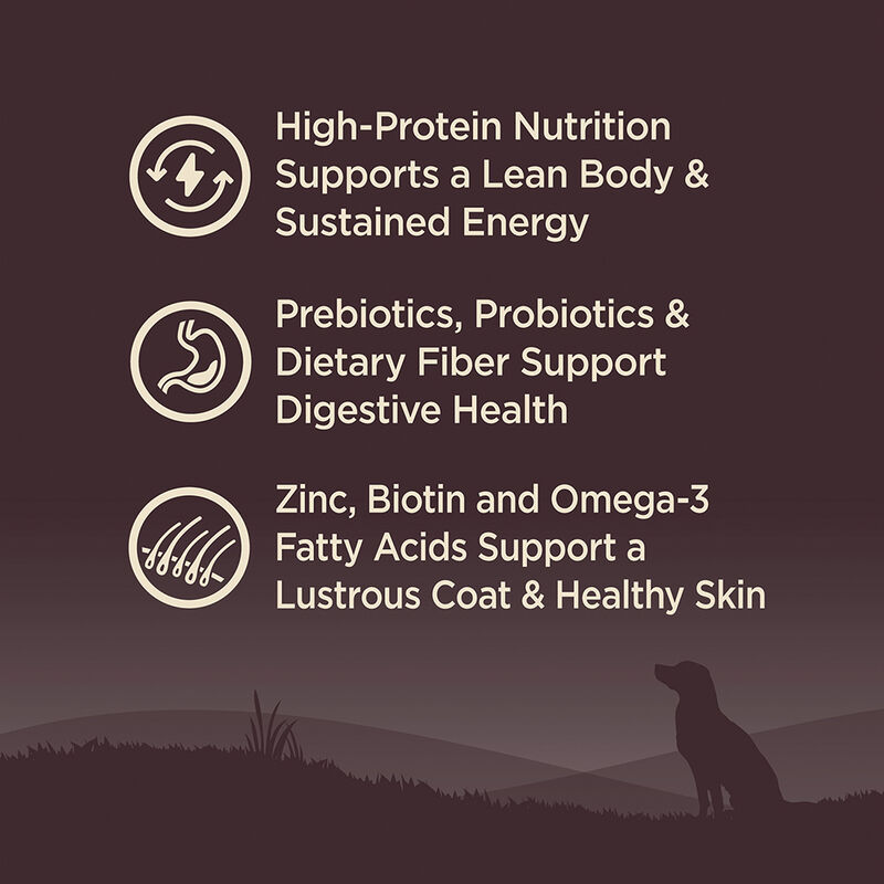 Wellness, Core, Grain Free Ocean - Dry Dog Food image number null
