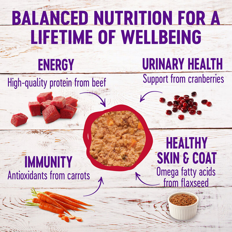 Wellness, Canned Cat Food, Complete Health, Beef & Chicken - Wet Cat Food image number null