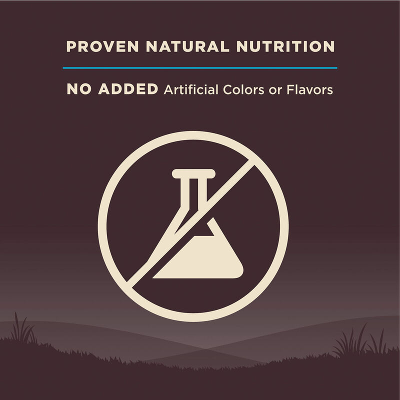 Wellness, Core, Grain Free Ocean - Dry Dog Food image number null
