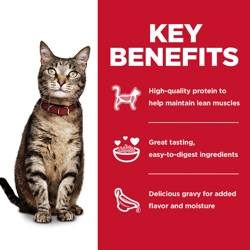 Science Diet, Adult Tender Dinners Wet Cat Food Variety 12 Pack - 80g - Wet Cat Food image number null