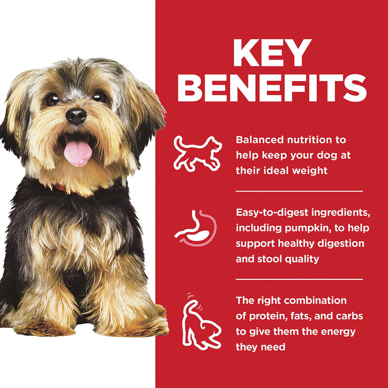 Science Diet, Adult Small Paws Chicken Meal & Rice Recipe Dry Dog Food, 2.04 kg - Dry Dog Food image number null