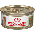 Royal Canin, Breed Health Nutrition Yorkshire Terrier Adult - Dry Dog Food image number null