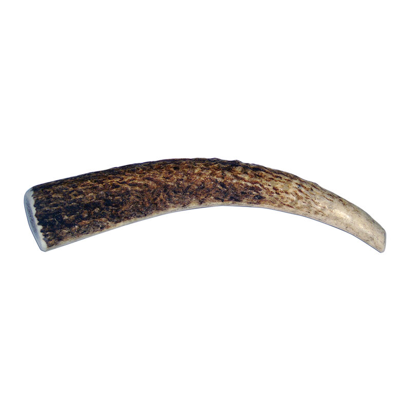 Antler Whole image number null