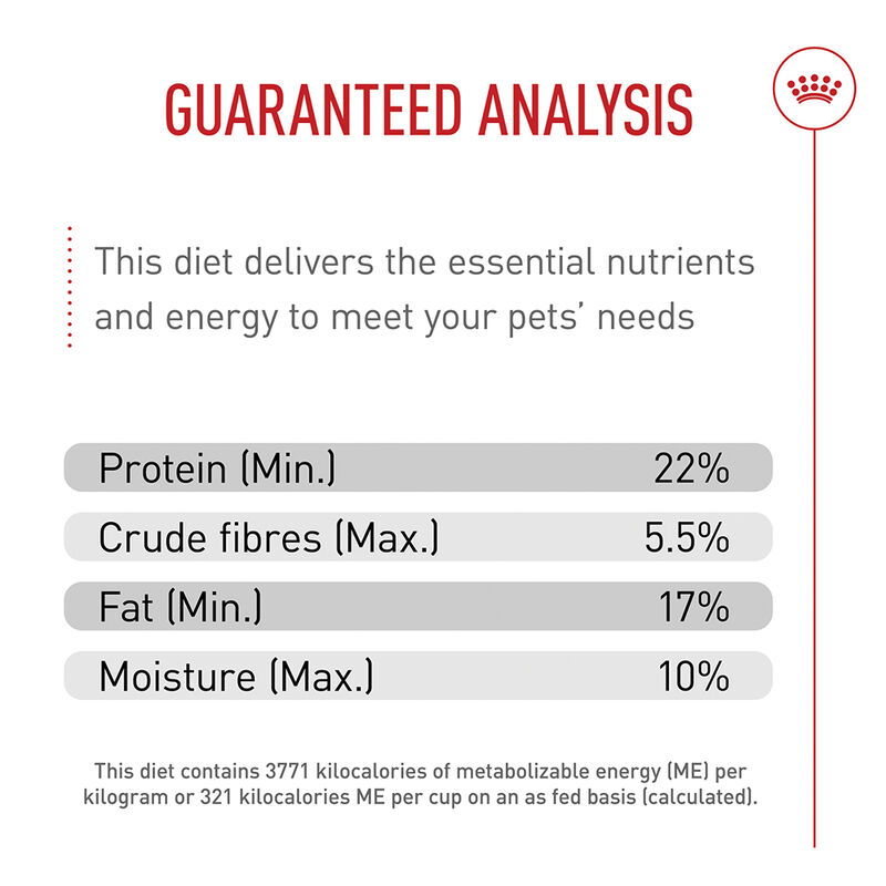 Royal Canin, Breed Health Nutrition German Shepherd Adult - Dry Dog Food image number null