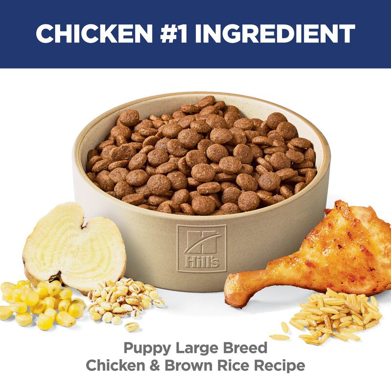 Science Diet, Puppy Large Breed Chicken & Brown Rice Recipe - Dry Dog Food image number null