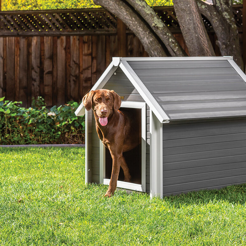 New Age Pet, Bunkhouse Dog House, XLarge - Gray image number null