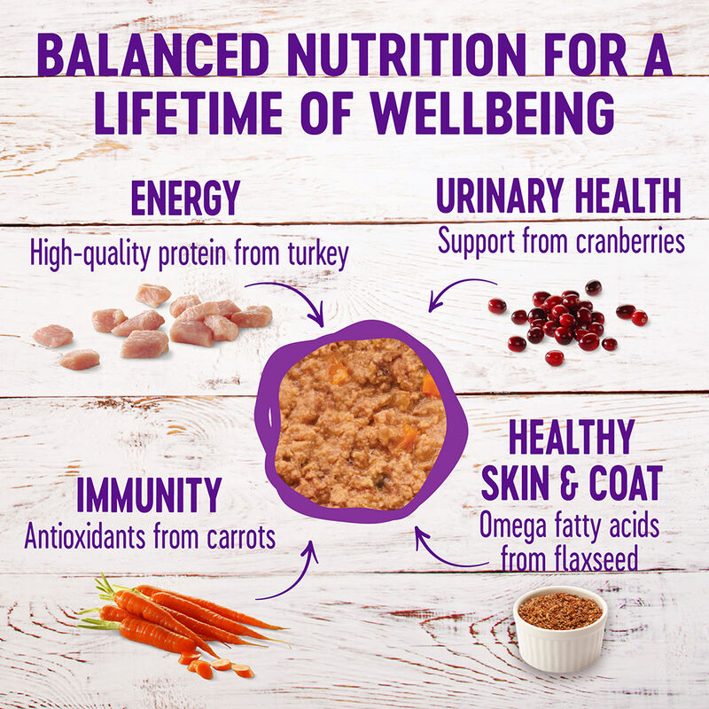 Wellness, Canned Cat Food, Complete Health, Turkey & Salmon - Wet Cat Food image number null