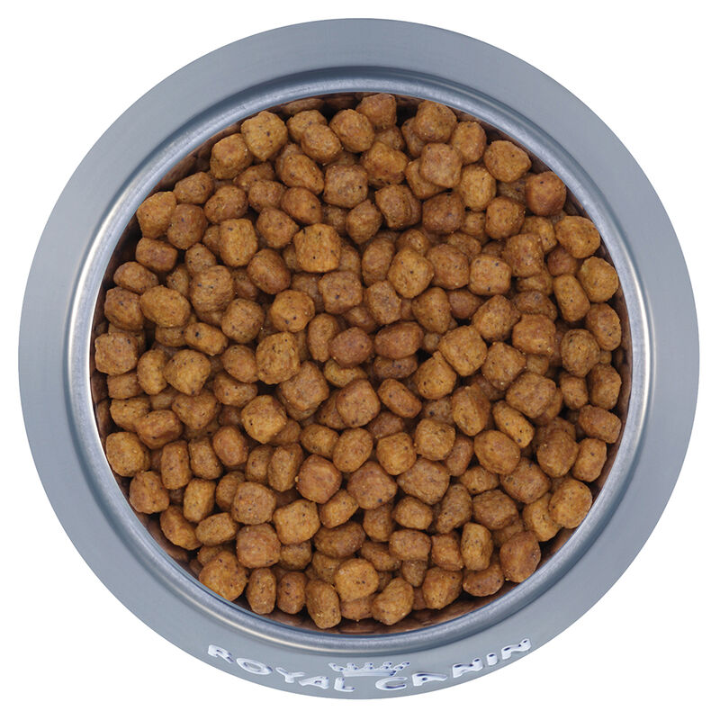 Royal Canin, Feline Health Nutrition Indoor 7+ Dry Adult - Dry Cat Food image number null