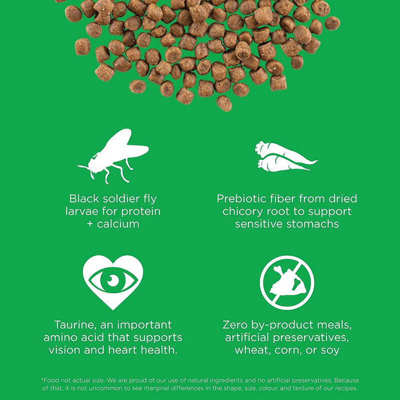 GO! SOLUTIONS, Feline Adult - LI Sensitivites GF Insect Recipe - Dry Cat Food image number null