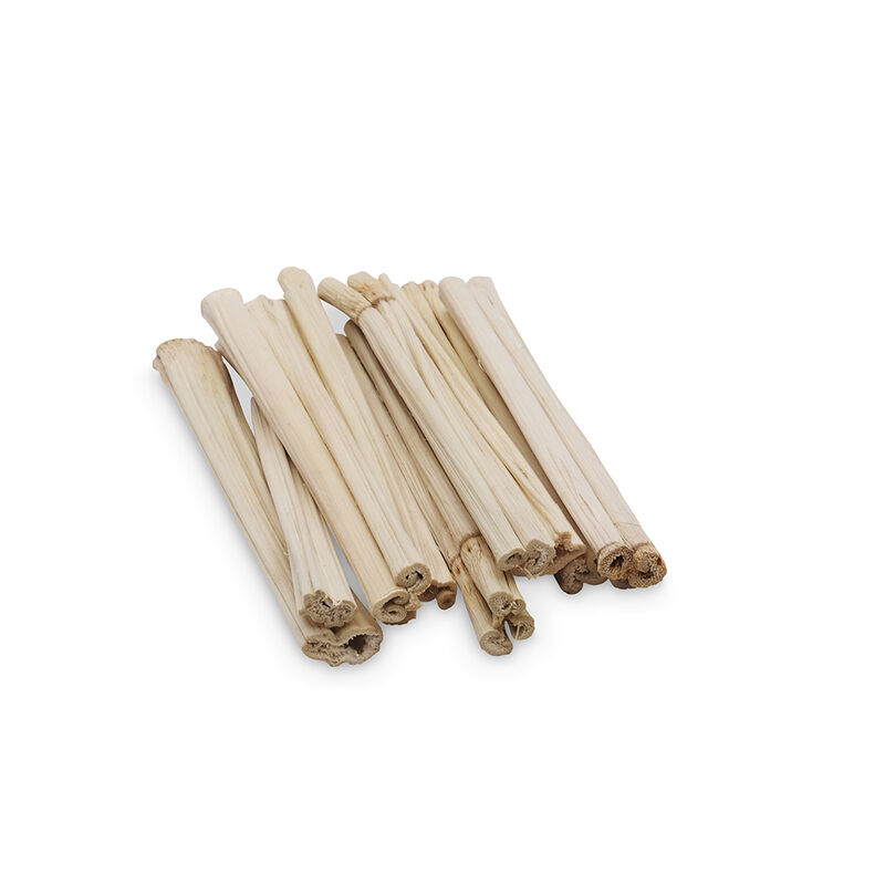 Living World Green, Small Animal Chews - Napier Grass Sticks - 20 pk image number null