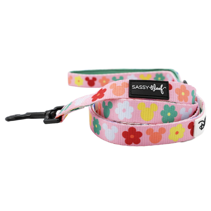 Sassy Woof, Minnie Mickey Collar and Leash Set for Dogs - Small image number null