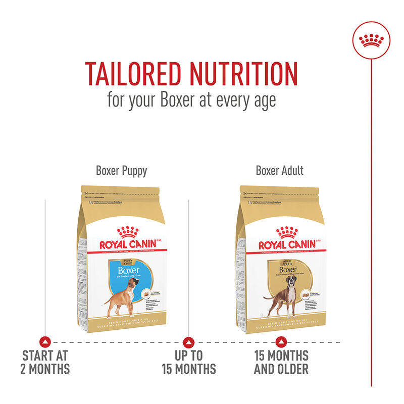 Royal Canin, Breed Health Nutrition Boxer Adult - Dry Dog Food image number null