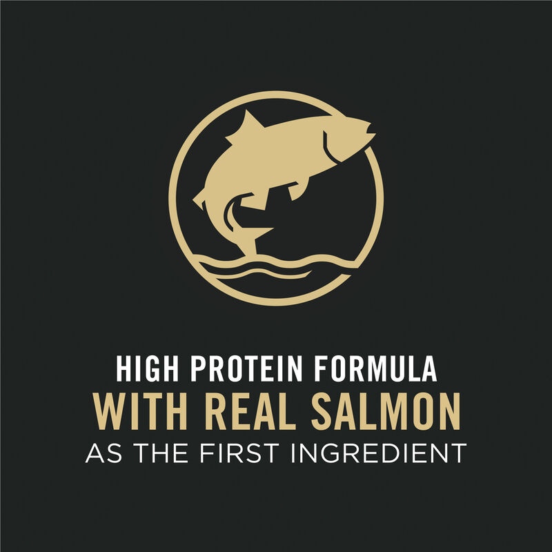 Pro Plan, Feline Adult - Live Clear - Salmon & Rice - Dry Cat Food image number null
