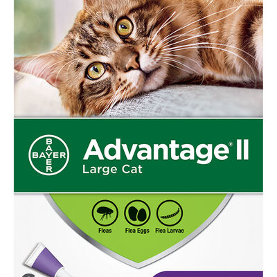 Advantage II, Feline Adult - 4 kg+