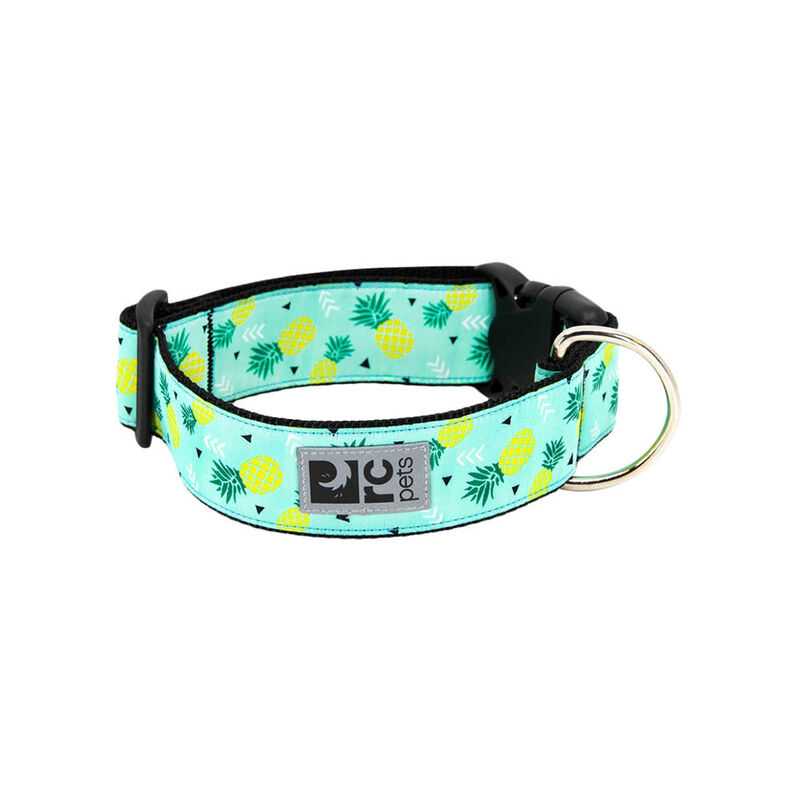 RC Pets, Wide Collar - Pineapple Parade - Medium - Dog Collar image number null