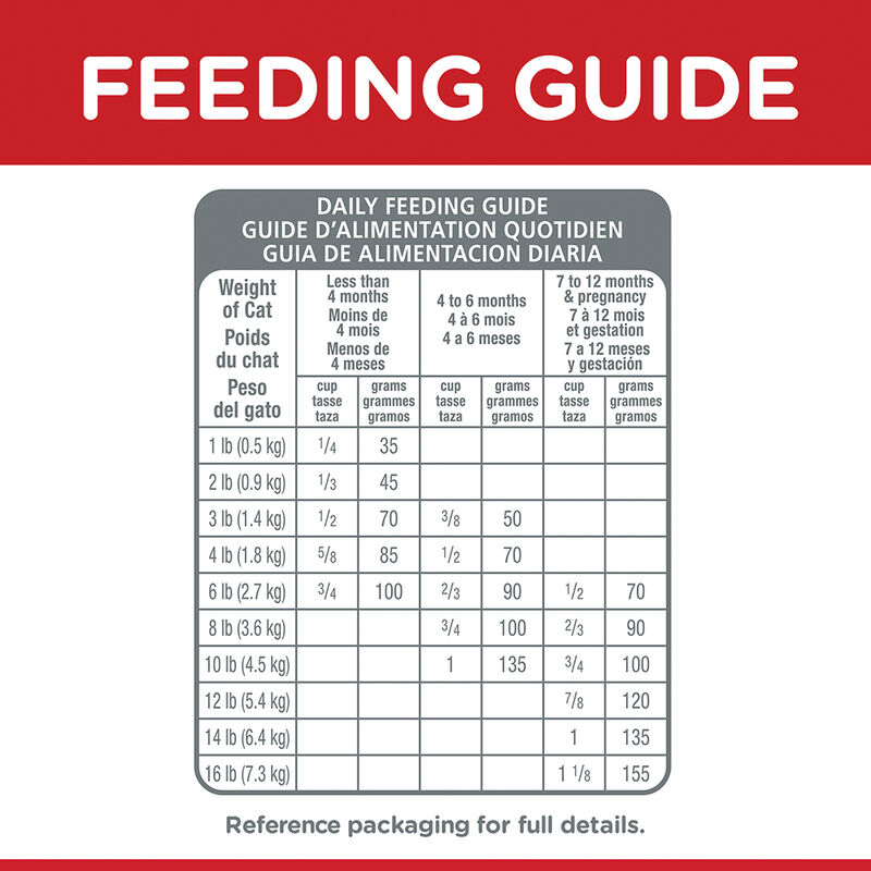 Science Diet, Kitten Chicken Recipe Dry Cat Food - Dry Cat Food image number null