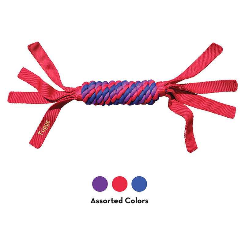 KONG, Tugga Wubba - Tug Dog Toy image number null