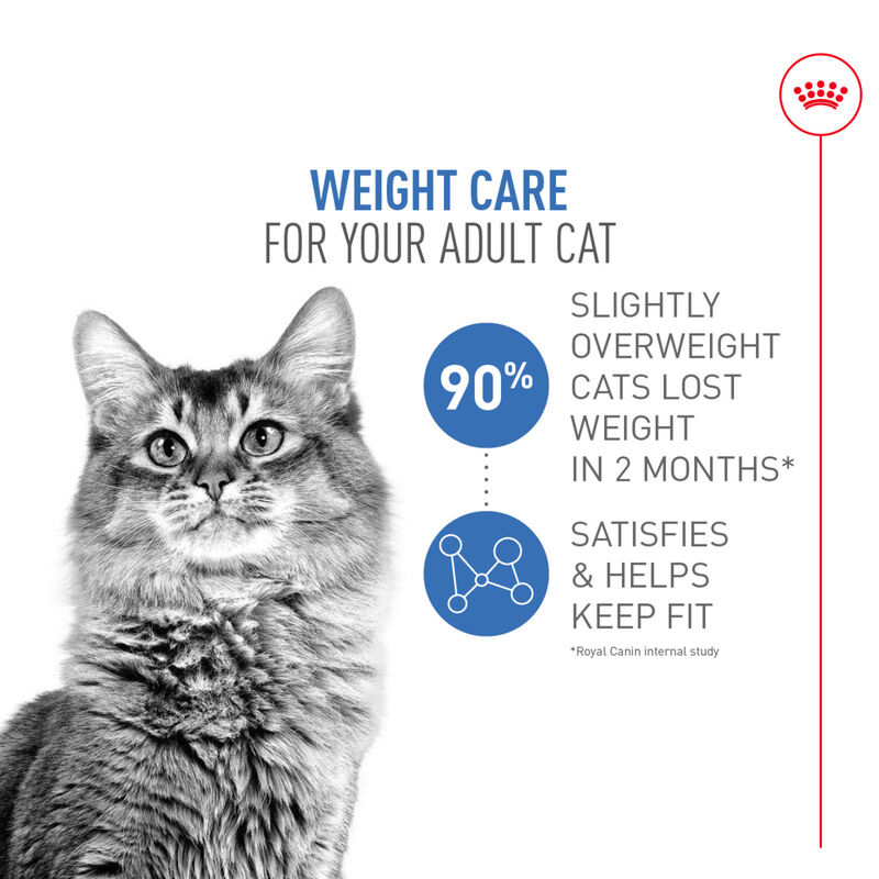 Royal Canin, Feline Care Nutrition Weight Care Adult Dry Food - Dry Cat Food image number null