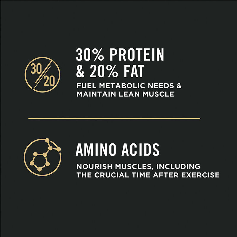 All Life Stages Sport 30/20 Salmon & Rice 15 kg image number null