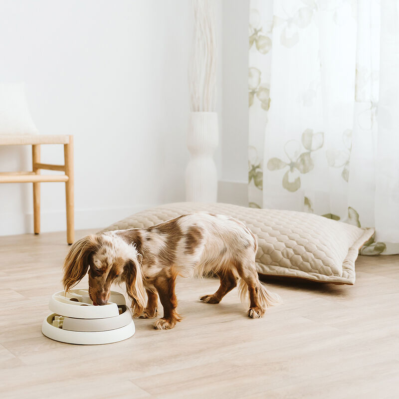 BeOneBreed, 3 Stage Slow Feeder - Cream image number null