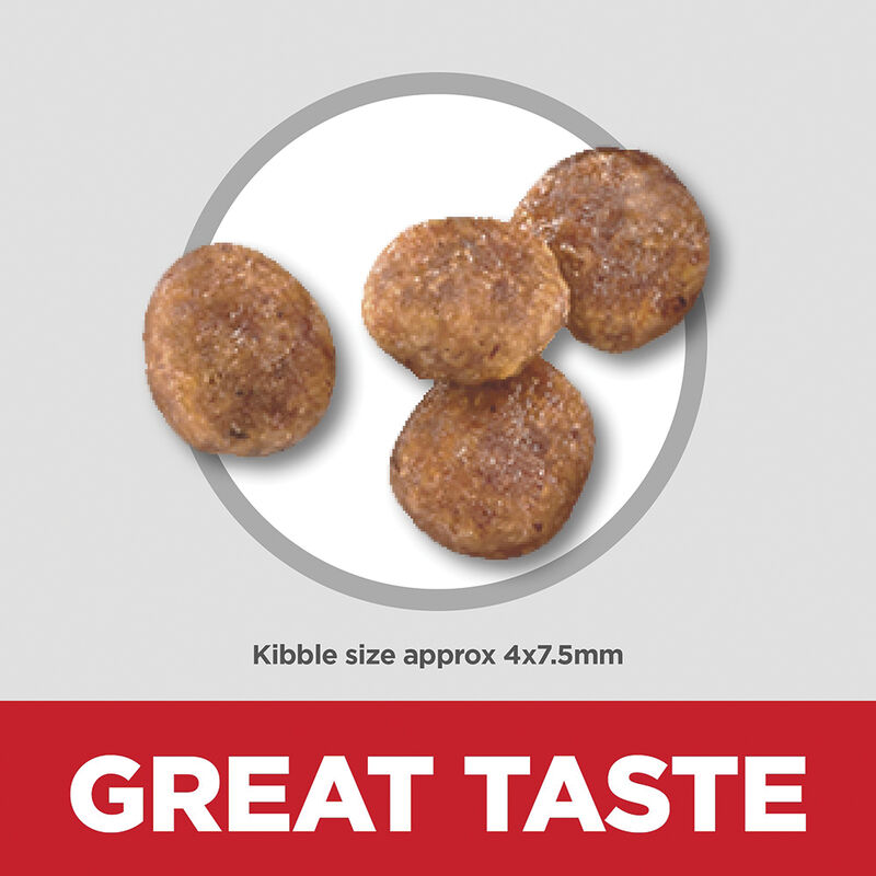 Science Diet, Adult Small Paws Chicken Meal & Rice Recipe Dry Dog Food, 2.04 kg - Dry Dog Food image number null