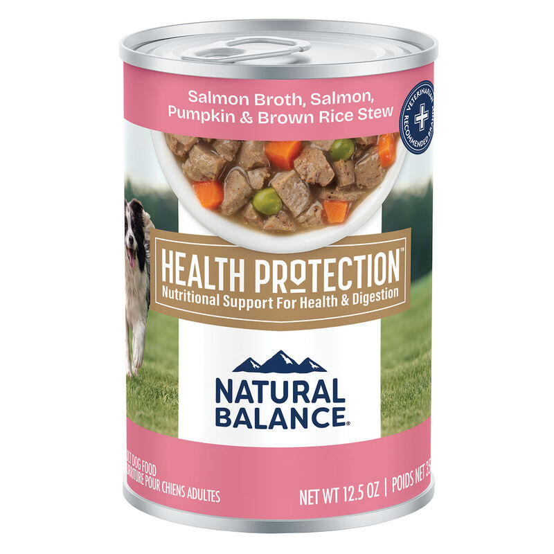 Natural Balance, Health Protection - Salmon & Pumpkin Stew - Wet Dog Food image number null