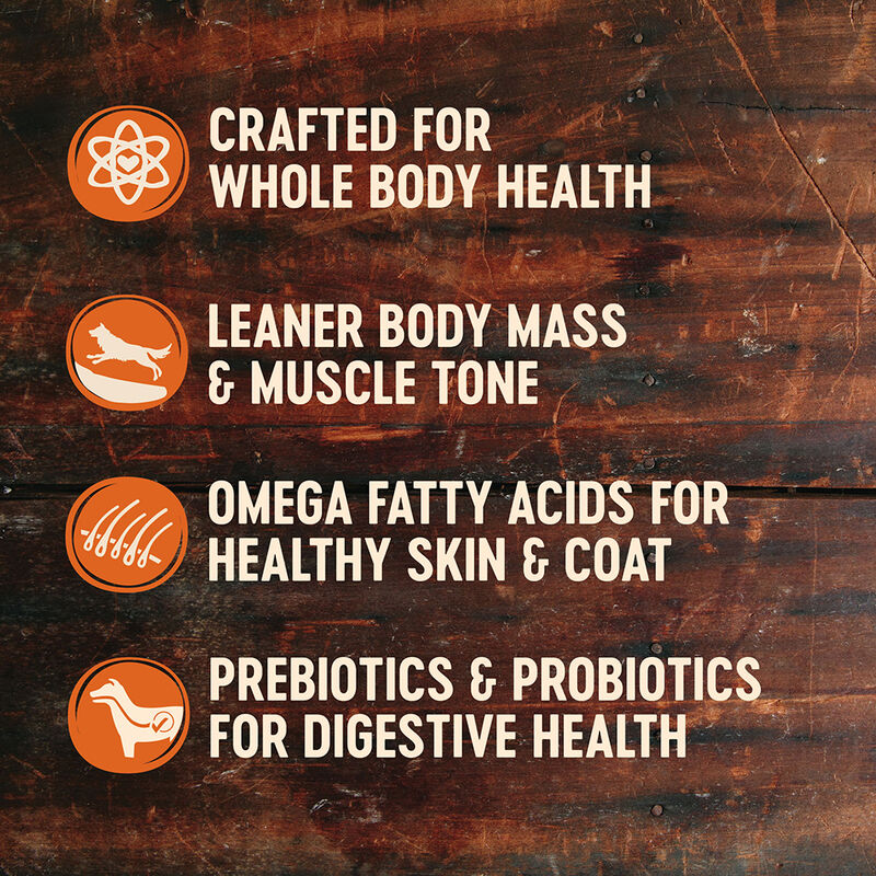 Wellness, Core, Grain Free Puppy - Dry Dog Food image number null