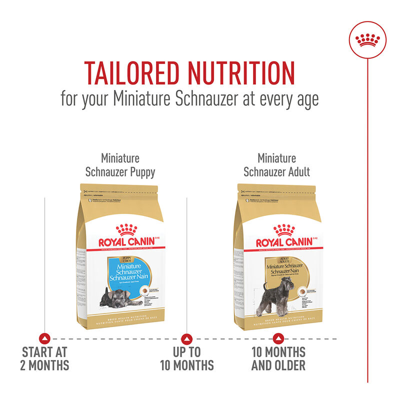Royal Canin, Breed Health Nutrition Miniature Schnauzer Puppy 2.5LBS - Dry Dog Food image number null