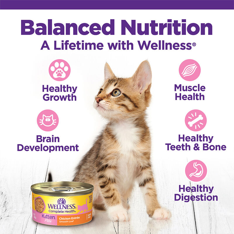 Wellness, Canned Cat Food, Complete Health, Kitten - 3 oz - Wet Cat Food image number null