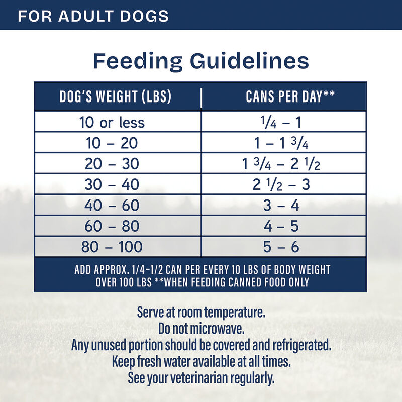 Natural Balance, Health Protection - Chicken & Pumpkin Stew - Wet Dog Food image number null