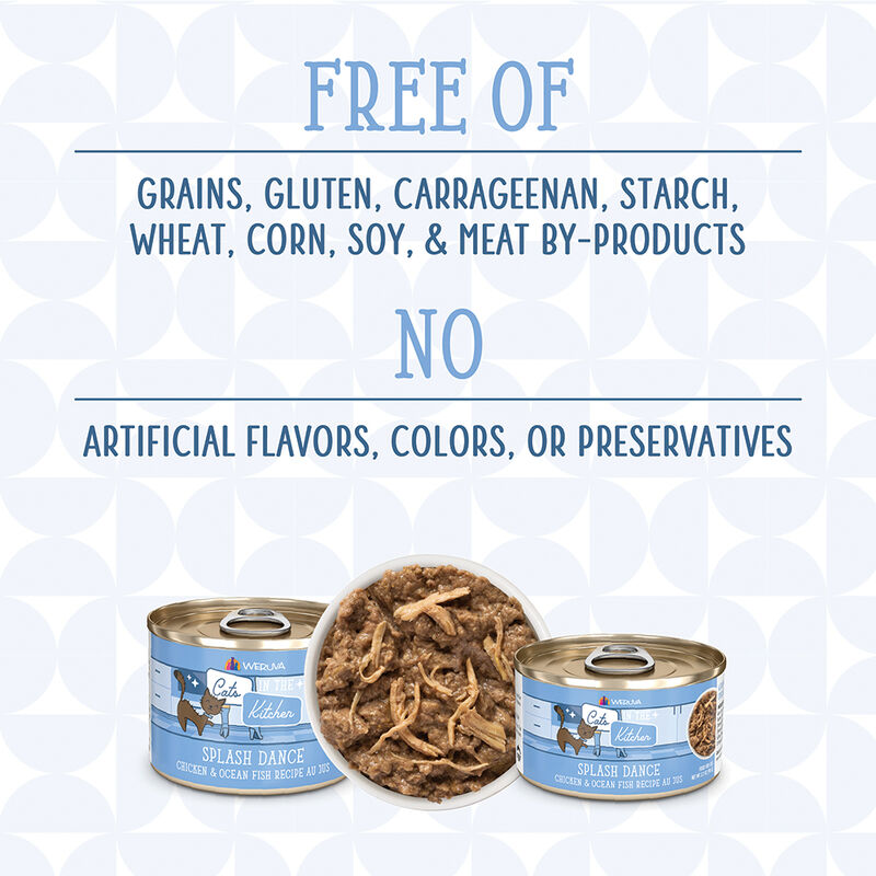 Weruva, Can Feline -Splash Dance-Ckn&Ocean Fish-170g - Minced - Wet Cat Food image number null