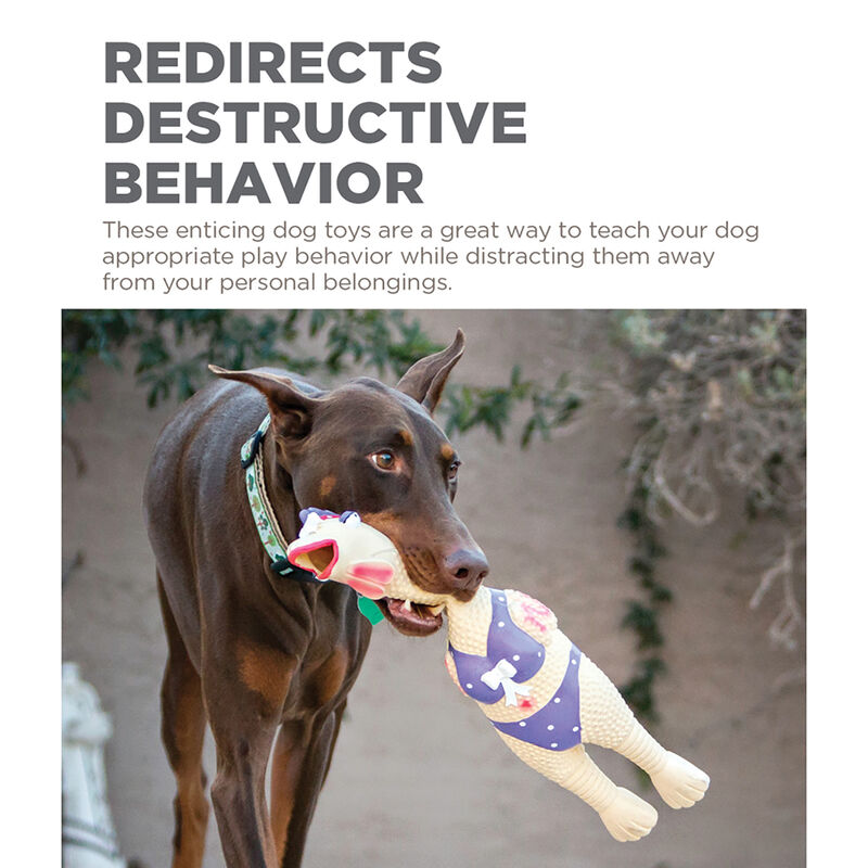 Outward Hound, Squawkers Henrietta - Large image number null