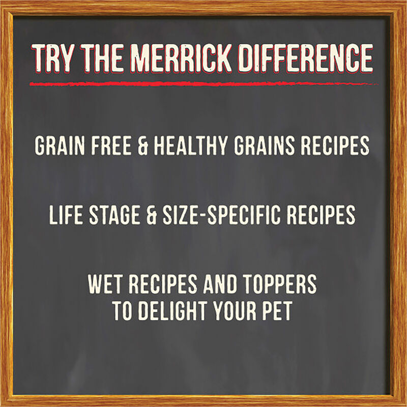 Merrick, Senior - Healthy Grains - Dry Dog Food image number null