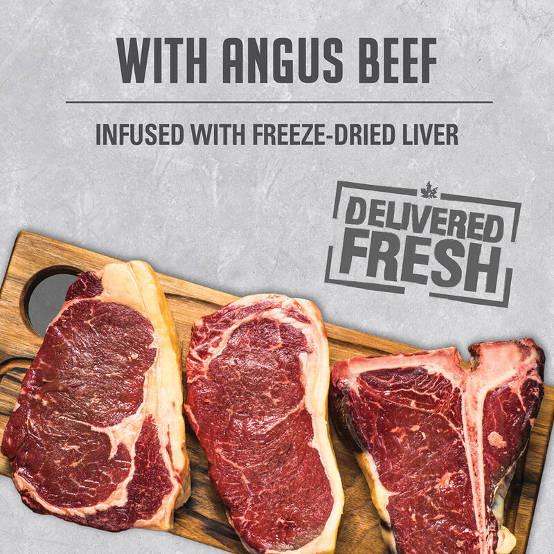 Can, Infusion Pate with Angus Beef - 369 g image number null
