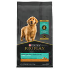 Purina Pro Plan Development Under One Year Puppy, Shredded Blend, Chicken & Rice Dry Dog Food Formul image number null