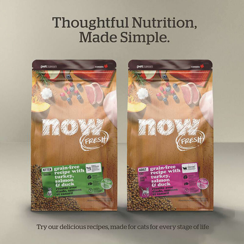 NOW FRESH, Feline Senior GF - 1.36 kg - Dry Cat Food image number null