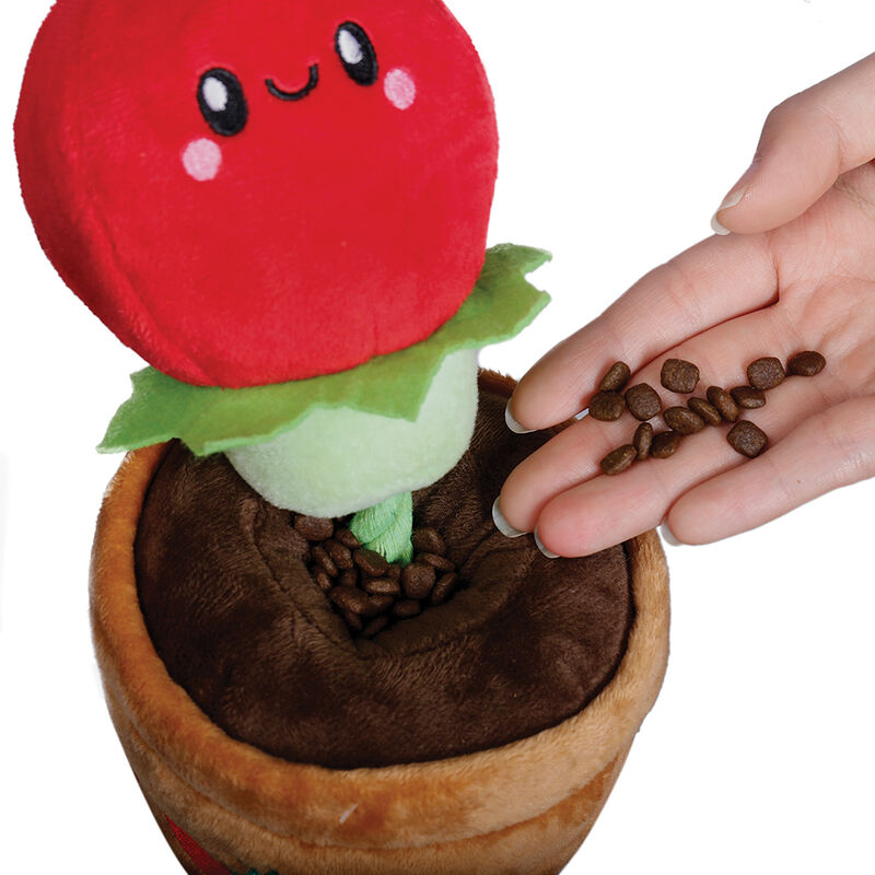 Territory, Tomato Treat & Tug Toy image number null
