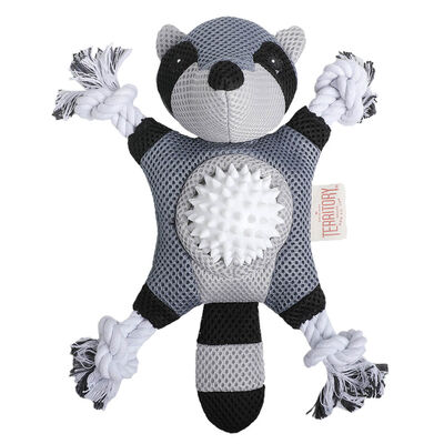 Territory, 2-In-1 Raccoon Toy