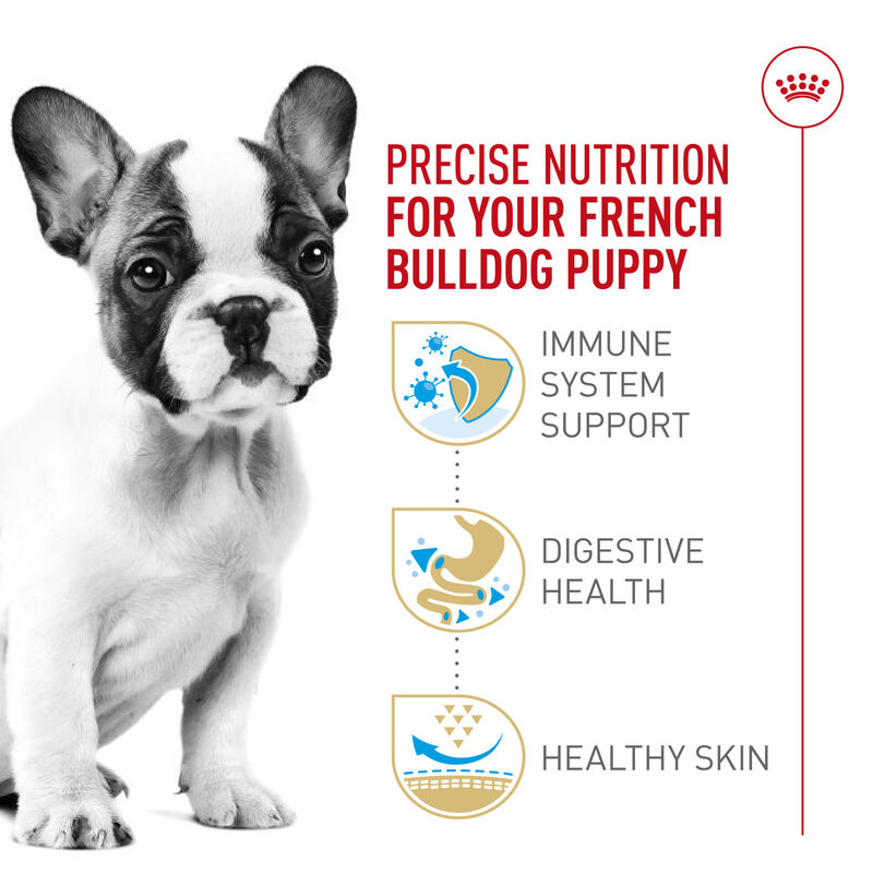 Royal Canin, Breed Health Nutrition - French Bulldog Puppy - 4.76 kg - Dry Dog Food image number null