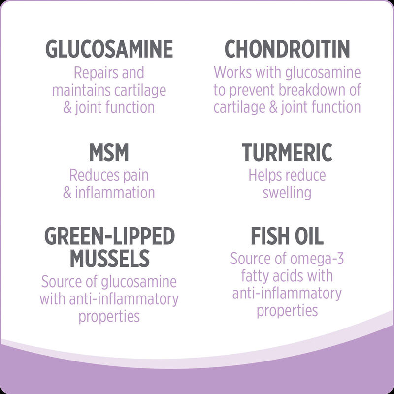 Nutrience, Hip & Joint Dog Supplement image number null